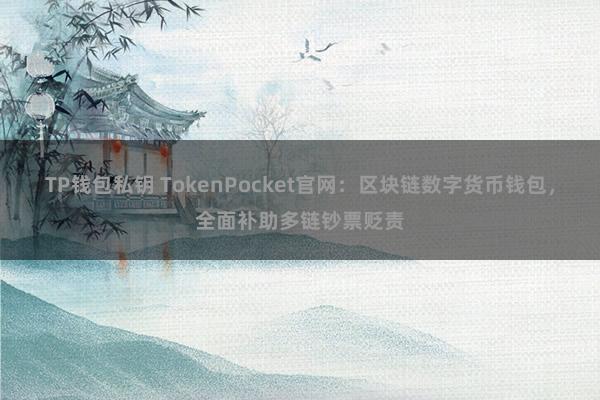 TP钱包私钥 TokenPocket官网：区块链数字货币钱包，全面补助多链钞票贬责